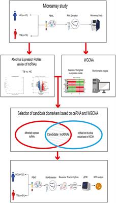 Identification of important modules and biomarkers in tuberculosis based on WGCNA